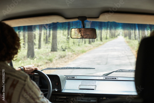 Person driving through thickly wooded road with sunlight filtering through the trees. Rearview mirror showing reflection of the drivers face