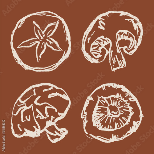 Doodle Mushroom Collection