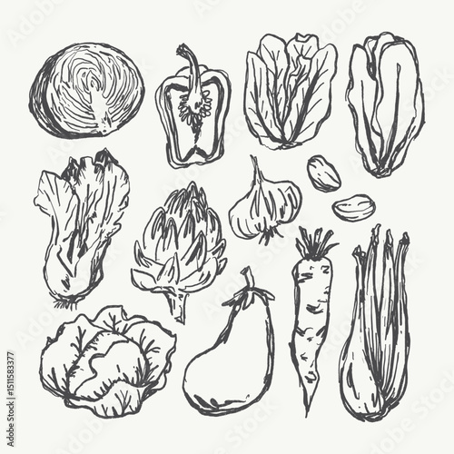 Doodle Vegetable Collection