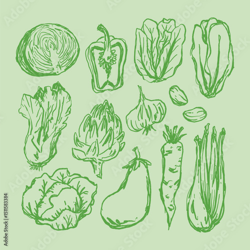 Doodle Vegetable Collection