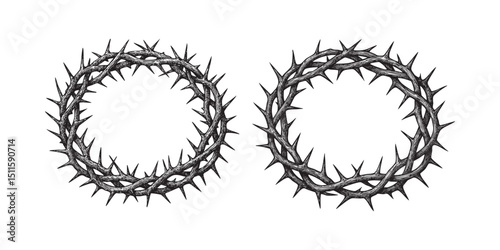 crown of thorns set hand drawn engraving vector illustration