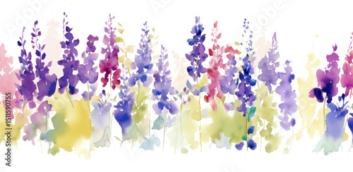 PNG Purple flowers backgrounds lavender outdoors.