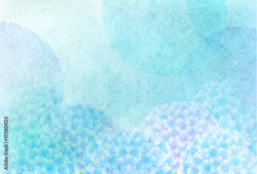 あじさい　梅雨　花　背景