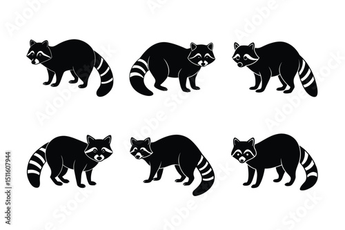 Raccoons in Various Poses Mammals Animals Nature Wildlife Environment	.raccoon, mammal, animal, wildlife, nature, fauna, creature, ring-tailed, forest dweller, nocturnal, 