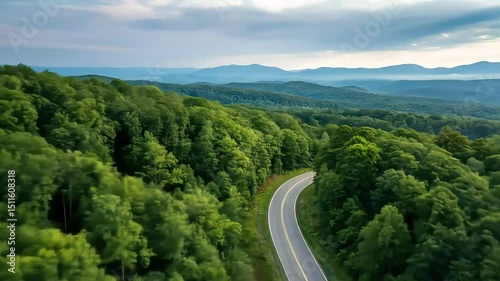 Aerial view of winding road through lush green forest and mountains