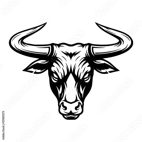 Hand drawn Bull Head Illustration