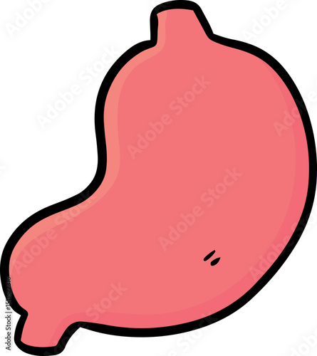 Illustration of stomach
