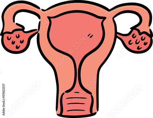 Illustration of uterus
