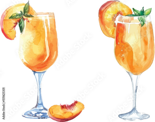 Peach Bellini Watercolor Vector Illustration, Isolated on White Background.