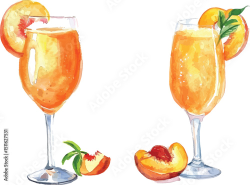 Peach Bellini Vector Illustration, Watercolor Style on White Background.