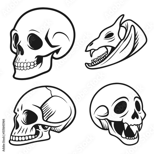 Various Skull Illustration Artworks Of Human And Creature Anatomy
