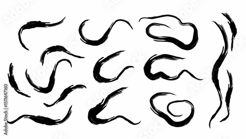 Hand-drawn black brush stroke swirls vector design set. for artistic, abstract, and modern design projects with a dynamic, edgy look