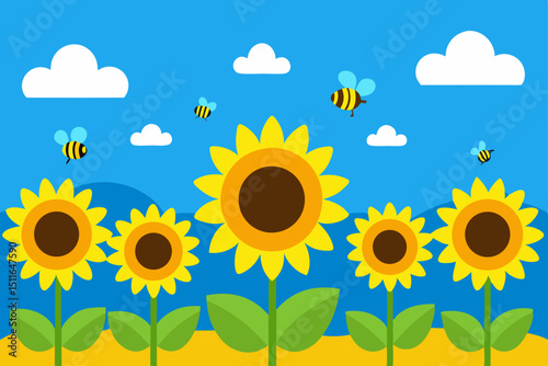 sunflower on blue background