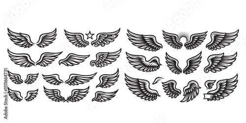 wings object set in vintage style hand-drawn engraving woodcut illustration