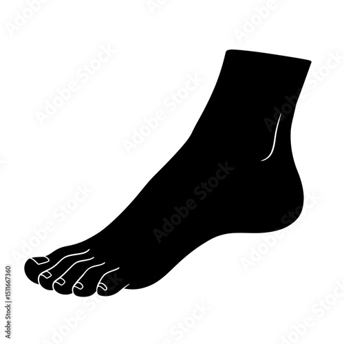 Flat Black Silhouette Vectors of Human Body and Internal Organs on White Background