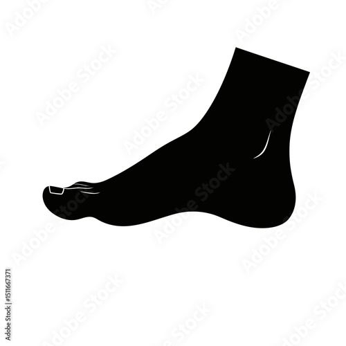 Flat Black Silhouette Vectors of Human Body and Internal Organs on White Background