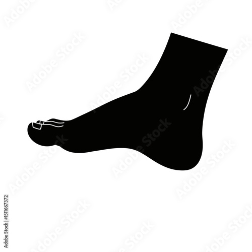 Flat Black Silhouette Vectors of Human Body and Internal Organs on White Background