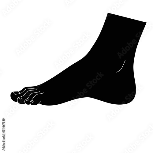Flat Black Silhouette Vectors of Human Body and Internal Organs on White Background