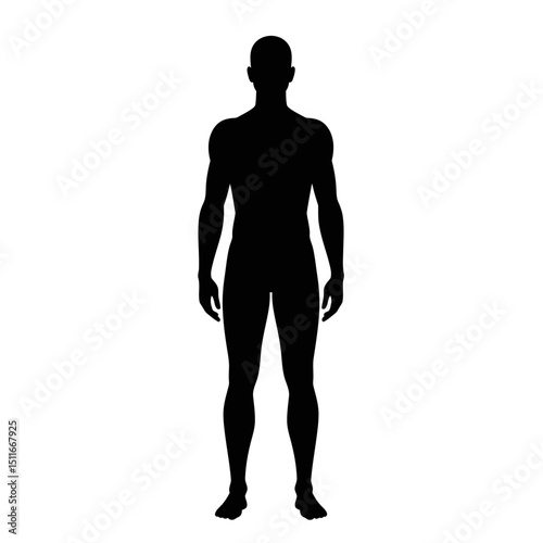 Flat Black Silhouette Vectors of Human Body and Internal Organs on White Background