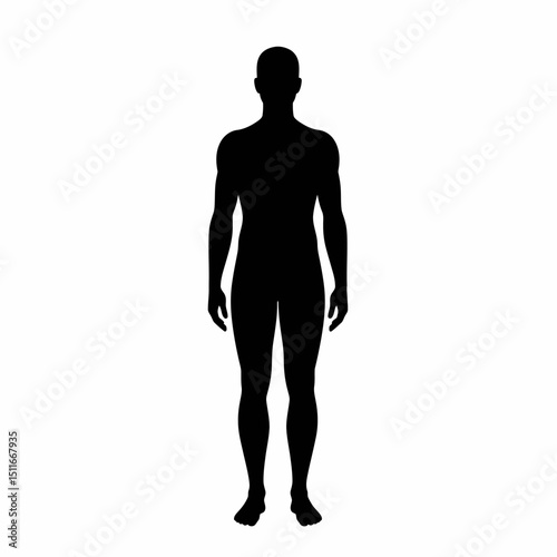 Flat Black Silhouette Vectors of Human Body and Internal Organs on White Background