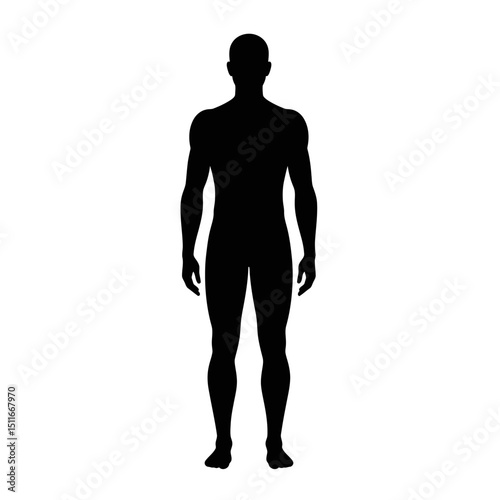 Flat Black Silhouette Vectors of Human Body and Internal Organs on White Background
