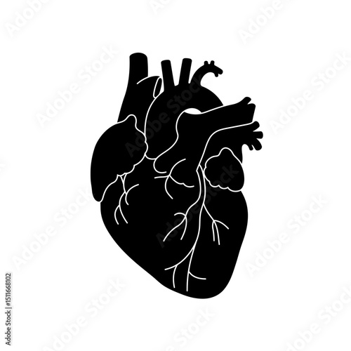 Flat Black Silhouette Vectors of Human Body and Internal Organs on White Background