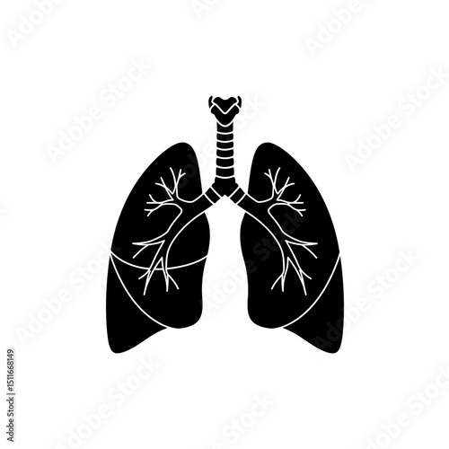 Flat Black Silhouette Vectors of Human Body and Internal Organs on White Background