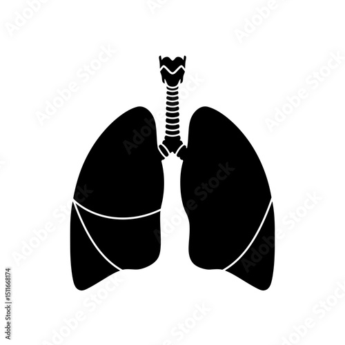 Flat Black Silhouette Vectors of Human Body and Internal Organs on White Background