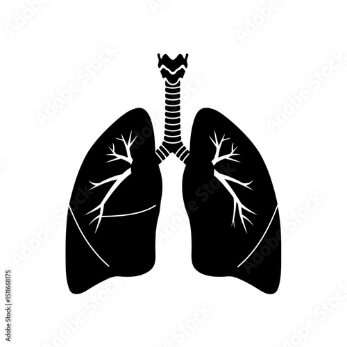 Flat Black Silhouette Vectors of Human Body and Internal Organs on White Background