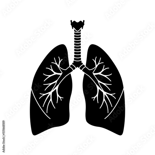 Flat Black Silhouette Vectors of Human Body and Internal Organs on White Background
