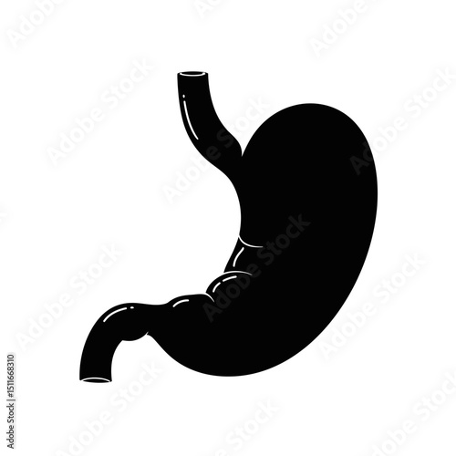 Flat Black Silhouette Vectors of Human Body and Internal Organs on White Background