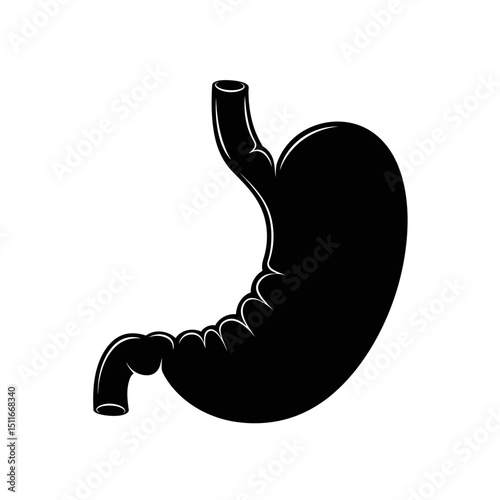 Flat Black Silhouette Vectors of Human Body and Internal Organs on White Background