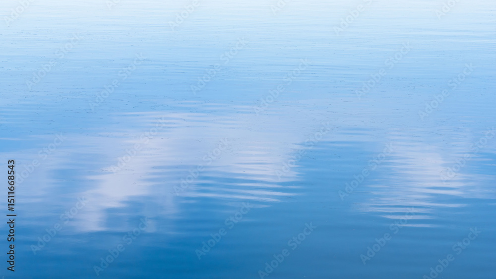 Naklejka premium 5月の空の青さを映す水面09