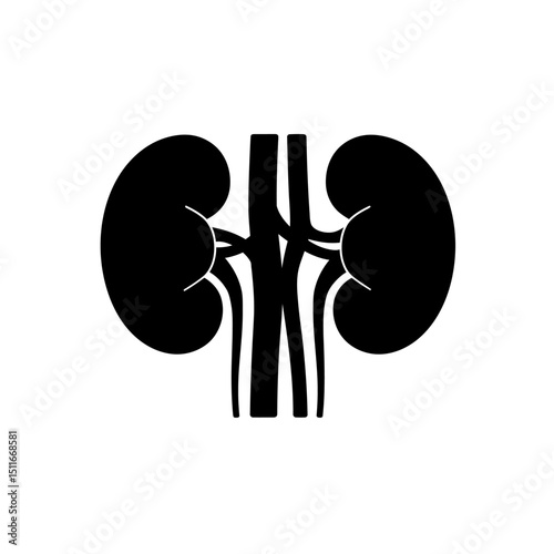 Flat Black Silhouette Vectors of Human Body and Internal Organs on White Background