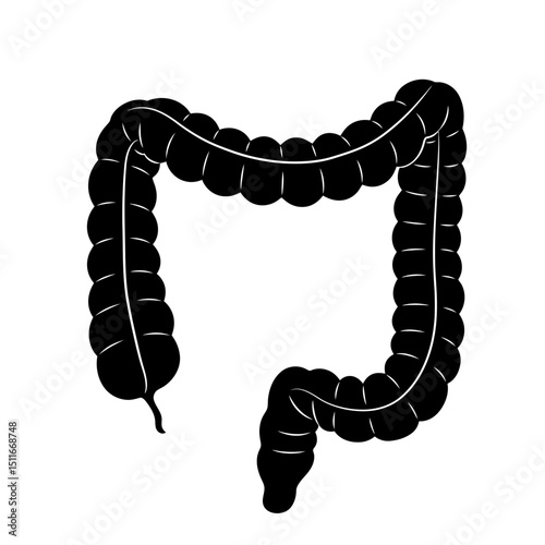 Flat Black Silhouette Vectors of Human Body and Internal Organs on White Background