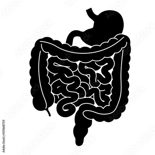 Flat Black Silhouette Vectors of Human Body and Internal Organs on White Background