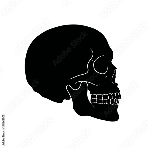 Flat Black Silhouette Vectors of Human Body and Internal Organs on White Background