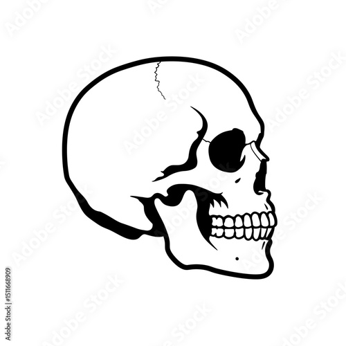 Flat Black Silhouette Vectors of Human Body and Internal Organs on White Background