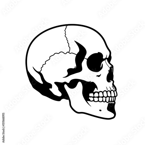 Flat Black Silhouette Vectors of Human Body and Internal Organs on White Background