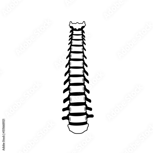 Flat Black Silhouette Vectors of Human Body and Internal Organs on White Background