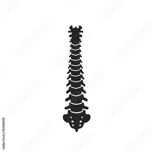 Flat Black Silhouette Vectors of Human Body and Internal Organs on White Background