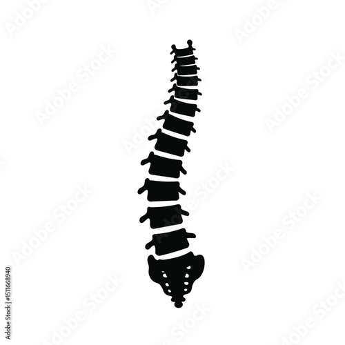 Flat Black Silhouette Vectors of Human Body and Internal Organs on White Background
