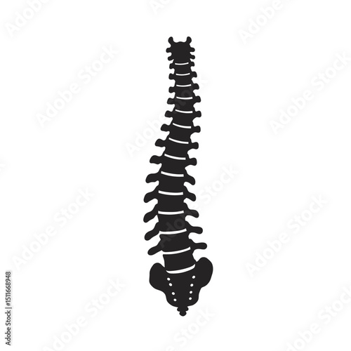 Flat Black Silhouette Vectors of Human Body and Internal Organs on White Background