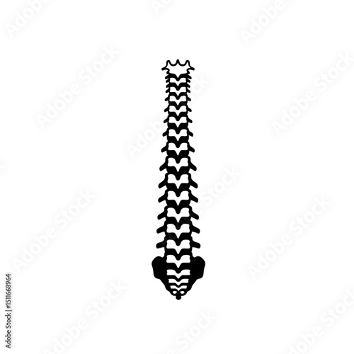 Flat Black Silhouette Vectors of Human Body and Internal Organs on White Background