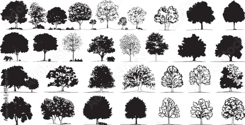 Tree Silhouettes Vector Set, Isolated on White Background