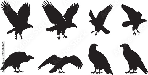Bird of Prey Silhouettes – Eagle, Hawk, Falcon, Vulture Flying & Perched