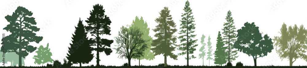 Obraz premium Tree Silhouette Vector, Forest Landscape on White Background.
