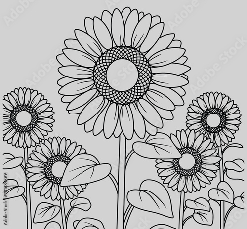 Sunflower Sketch: A detailed line art illustration showcases a group of sunflowers in full bloom, capturing their iconic beauty and geometric structure.