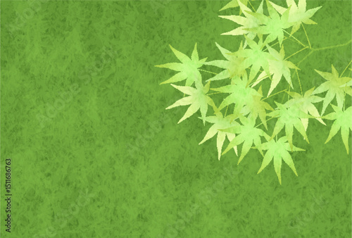 新緑　もみじ　葉　背景