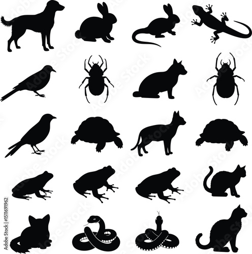 Collection of black silhouettes featuring various animals depicting wildlife and natural forms